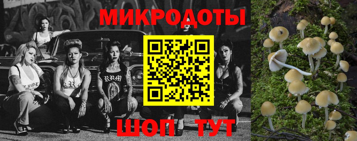 Галлюциногенные грибы Magic Shrooms  Вход с VPN  Ялуторовск  купить закладку  Галлюциногенные грибы Cubensis 